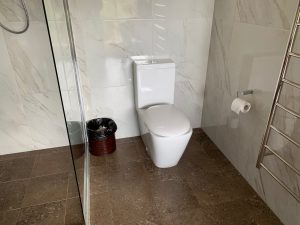 Jamala Lion Bathroom 300x225