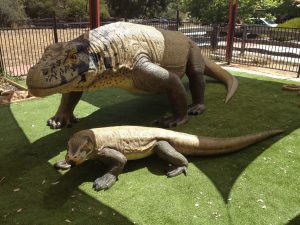 Canberra Reptile Park 2 300x225