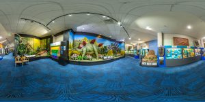 National Dino Museum 1 300x150