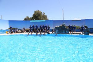 DolphinMarineConservationPark lineup 300x200