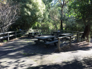 silvan lower outdoor picnic area 300x225