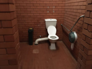 silvan lower unisex disabled toilet 300x225