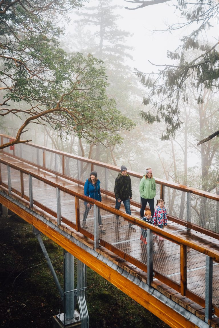 Malahat Skywalk - GetAboutAble